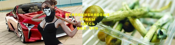 бошки Лабытнанги