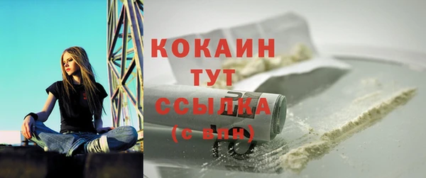ГАЛЛЮЦИНОГЕННЫЕ ГРИБЫ Ладушкин