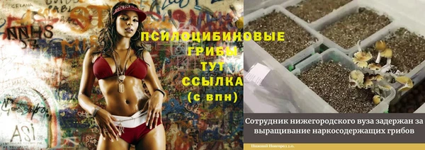 бошки Лабытнанги