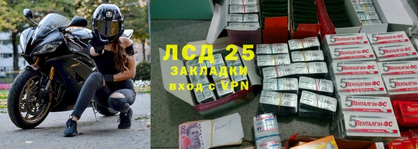 ГАЛЛЮЦИНОГЕННЫЕ ГРИБЫ Ладушкин
