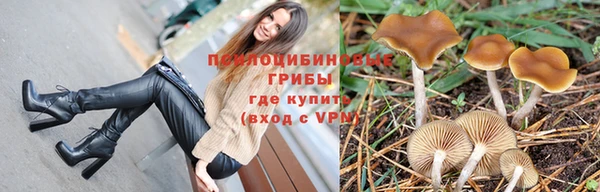 стаф Лагань